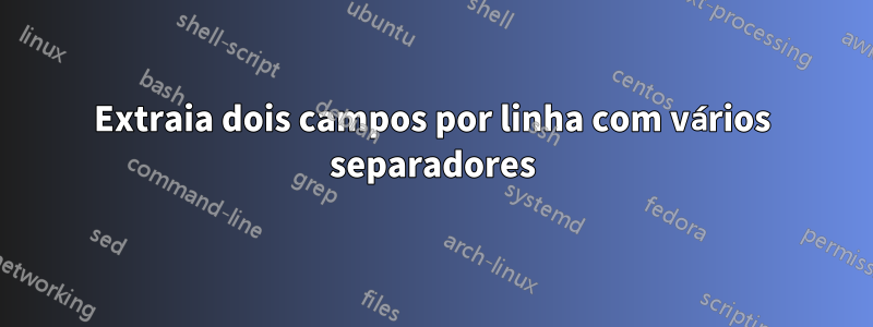 Extraia dois campos por linha com vários separadores