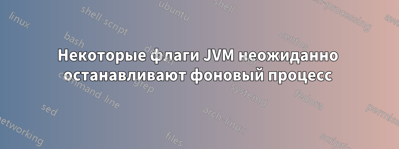 Некоторые флаги JVM неожиданно останавливают фоновый процесс