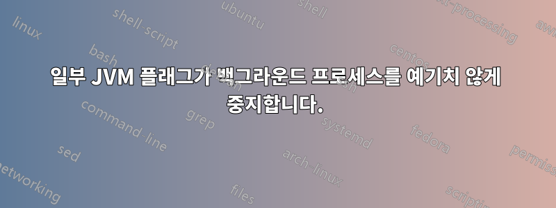 일부 JVM 플래그가 백그라운드 프로세스를 예기치 않게 중지합니다.