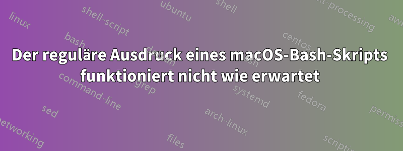 Der reguläre Ausdruck eines macOS-Bash-Skripts funktioniert nicht wie erwartet