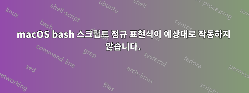 macOS bash 스크립트 정규 표현식이 예상대로 작동하지 않습니다.