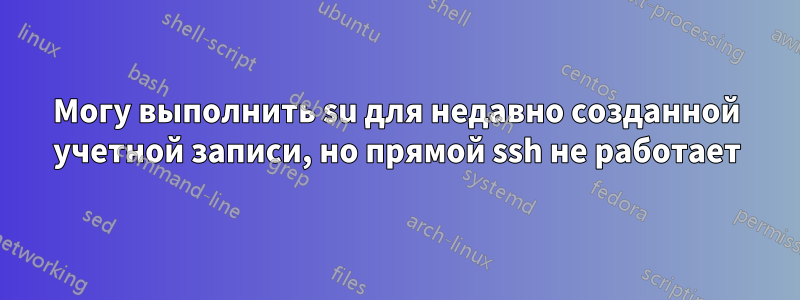 Могу выполнить su для недавно созданной учетной записи, но прямой ssh ​​не работает