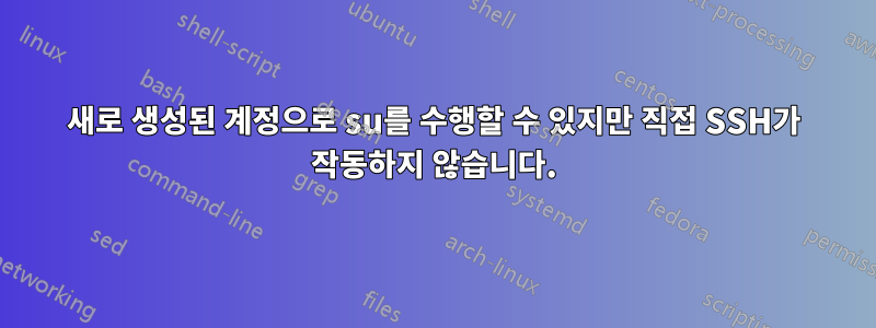 새로 생성된 계정으로 su를 수행할 수 있지만 직접 SSH가 작동하지 않습니다.