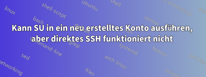 Kann SU in ein neu erstelltes Konto ausführen, aber direktes SSH funktioniert nicht