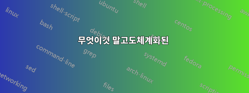 무엇이것 말고도체계화된