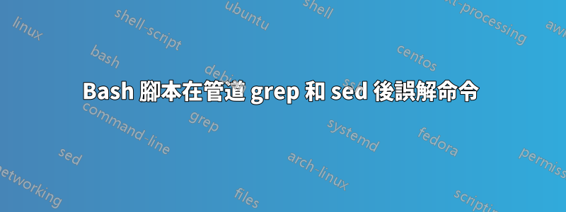 Bash 腳本在管道 grep 和 sed 後誤解命令