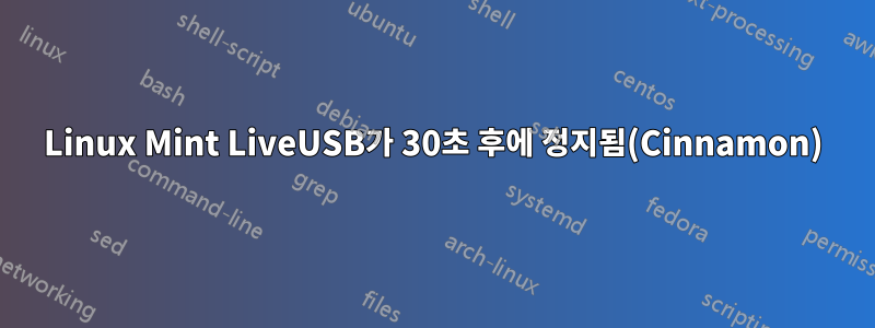 Linux Mint LiveUSB가 30초 후에 정지됨(Cinnamon)