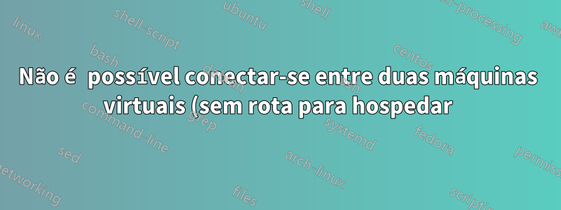 Não é possível conectar-se entre duas máquinas virtuais (sem rota para hospedar)