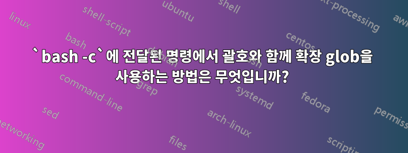 `bash -c`에 전달된 명령에서 괄호와 함께 확장 glob을 사용하는 방법은 무엇입니까?