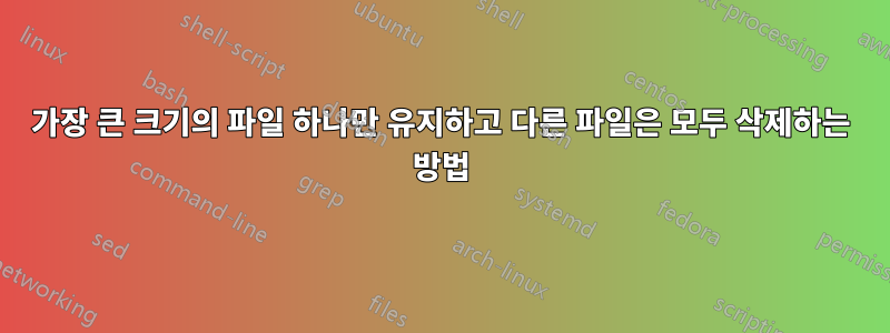 가장 큰 크기의 파일 하나만 유지하고 다른 파일은 모두 삭제하는 방법