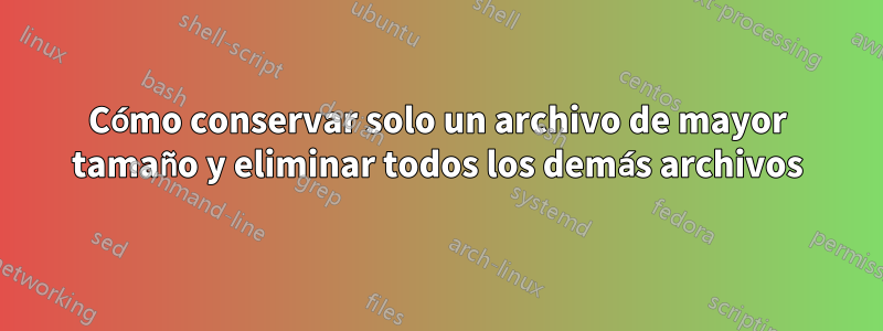 Cómo conservar solo un archivo de mayor tamaño y eliminar todos los demás archivos