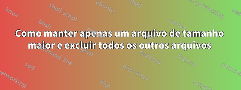 Como manter apenas um arquivo de tamanho maior e excluir todos os outros arquivos