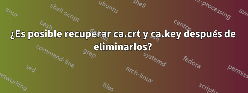 ¿Es posible recuperar ca.crt y ca.key después de eliminarlos?