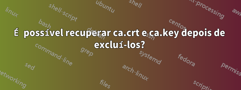 É possível recuperar ca.crt e ca.key depois de excluí-los?