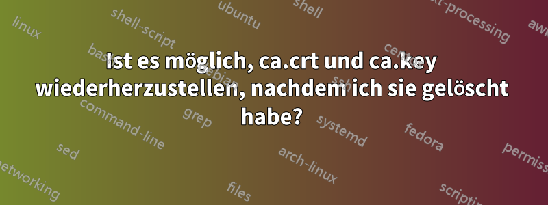 Ist es möglich, ca.crt und ca.key wiederherzustellen, nachdem ich sie gelöscht habe?