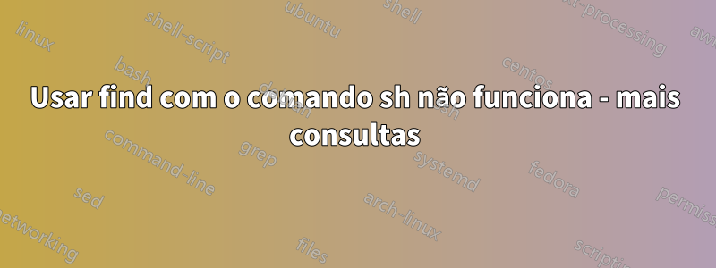 Usar find com o comando sh não funciona - mais consultas