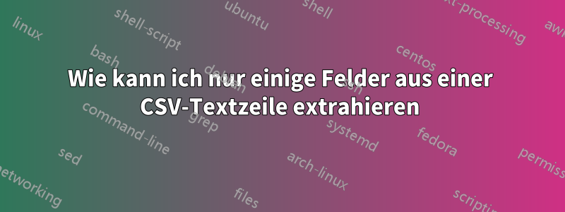 Wie kann ich nur einige Felder aus einer CSV-Textzeile extrahieren