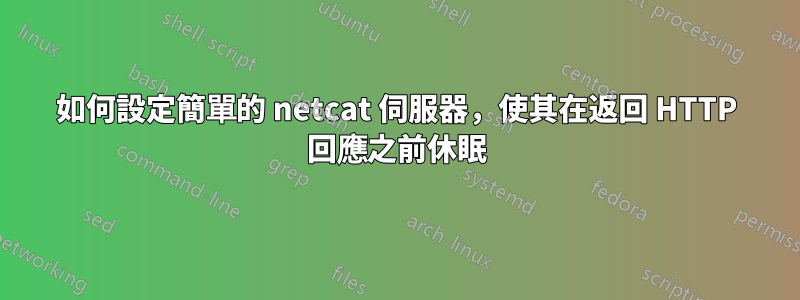 如何設定簡單的 netcat 伺服器，使其在返回 HTTP 回應之前休眠