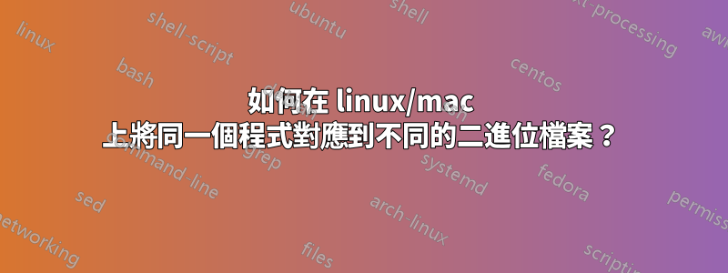 如何在 linux/mac 上將同一個程式對應到不同的二進位檔案？