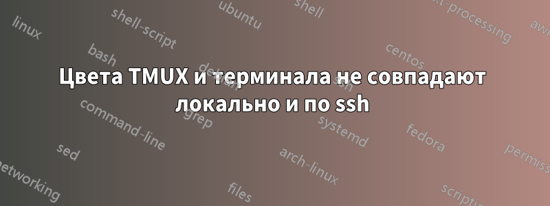 Цвета TMUX и терминала не совпадают локально и по ssh