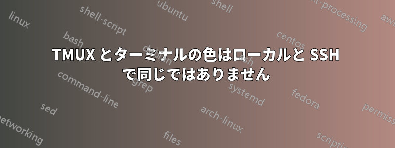 TMUX とターミナルの色はローカルと SSH で同じではありません