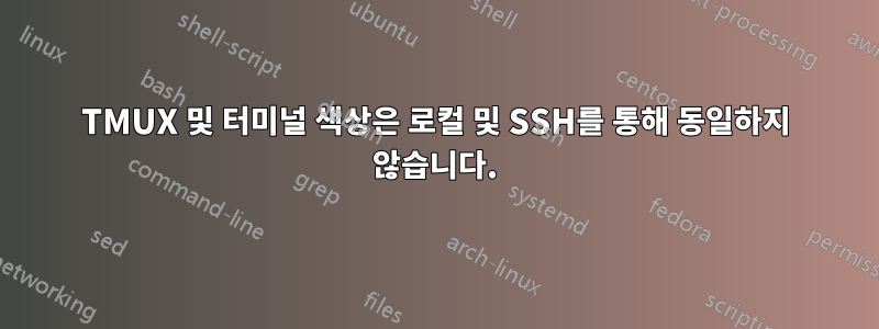 TMUX 및 터미널 색상은 로컬 및 SSH를 통해 동일하지 않습니다.