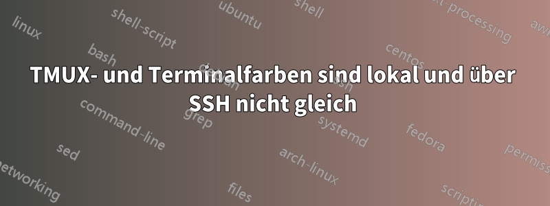 TMUX- und Terminalfarben sind lokal und über SSH nicht gleich