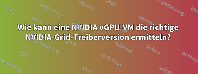 Wie kann eine NVIDIA vGPU-VM die richtige NVIDIA-Grid-Treiberversion ermitteln?