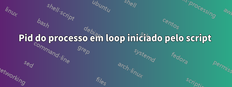 Pid do processo em loop iniciado pelo script