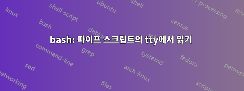 bash: 파이프 스크립트의 tty에서 읽기