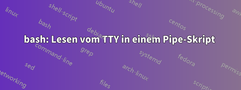 bash: Lesen vom TTY in einem Pipe-Skript