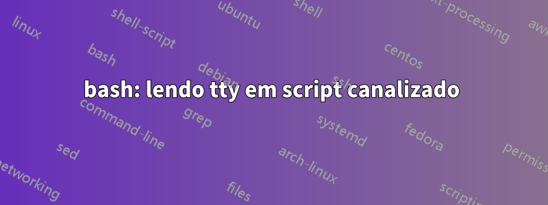 bash: lendo tty em script canalizado