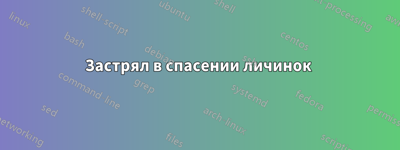 Застрял в спасении личинок