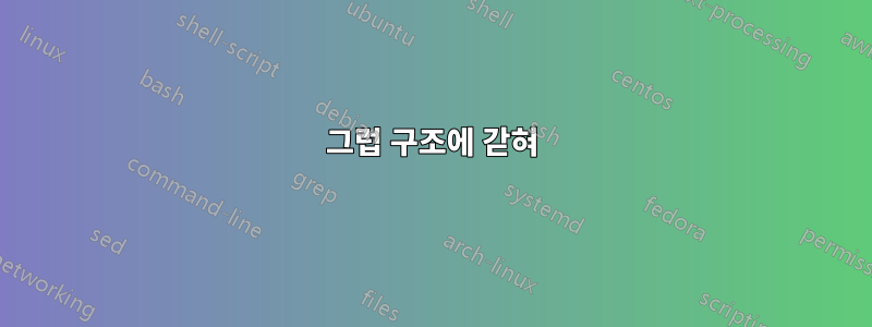 그럽 구조에 갇혀