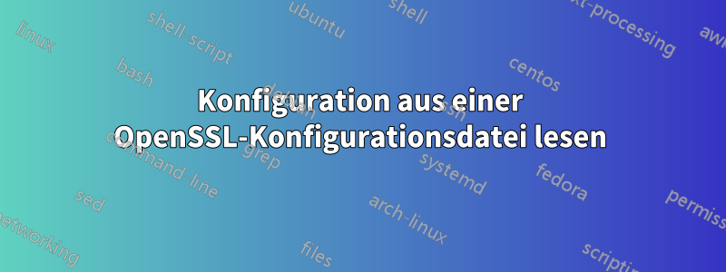 Konfiguration aus einer OpenSSL-Konfigurationsdatei lesen