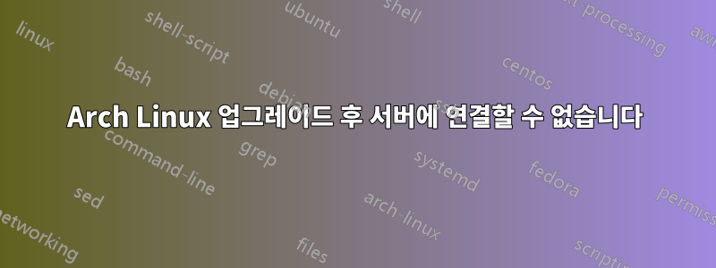 Arch Linux 업그레이드 후 서버에 연결할 수 없습니다