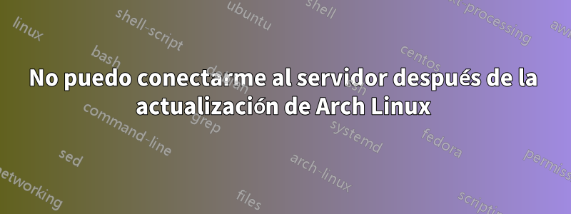 No puedo conectarme al servidor después de la actualización de Arch Linux