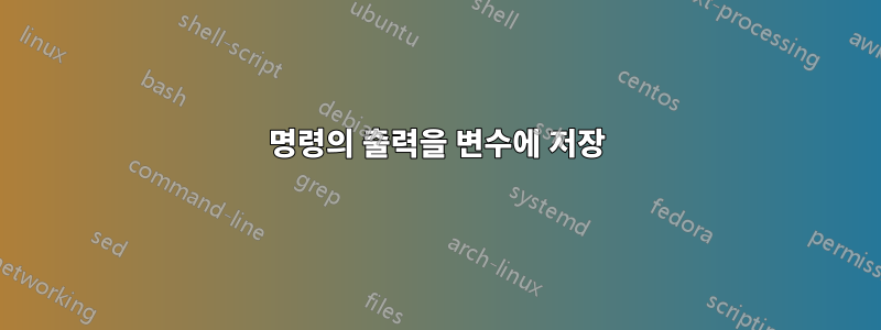 명령의 출력을 변수에 저장