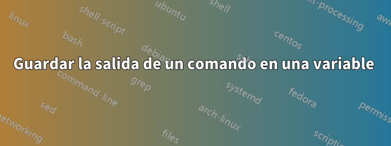 Guardar la salida de un comando en una variable