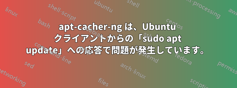 apt-cacher-ng は、Ubuntu クライアントからの「sudo apt update」への応答で問題が発生しています。