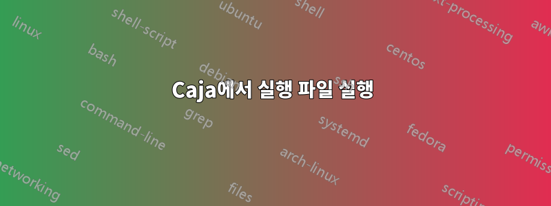 Caja에서 실행 파일 실행