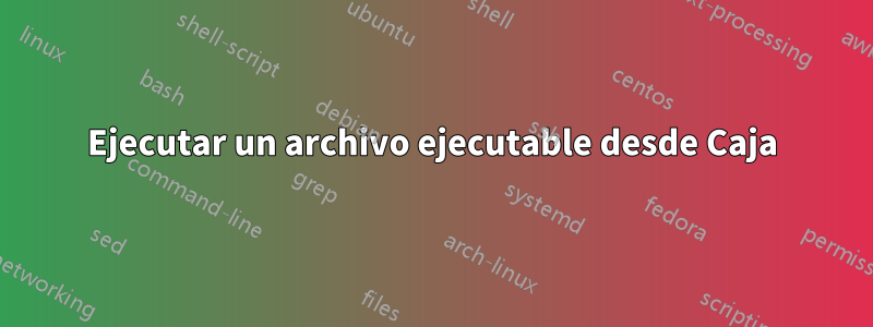 Ejecutar un archivo ejecutable desde Caja