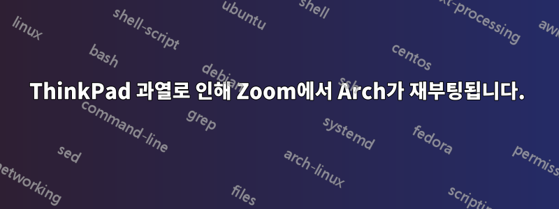 ThinkPad 과열로 인해 Zoom에서 Arch가 재부팅됩니다.