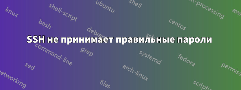 SSH не принимает правильные пароли