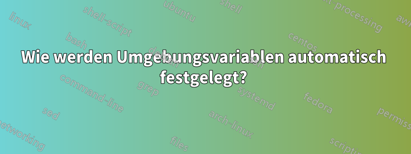 Wie werden Umgebungsvariablen automatisch festgelegt?