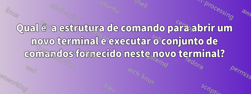 Qual é a estrutura de comando para abrir um novo terminal e executar o conjunto de comandos fornecido neste novo terminal?