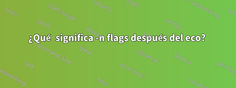 ¿Qué significa -n flags después del eco?