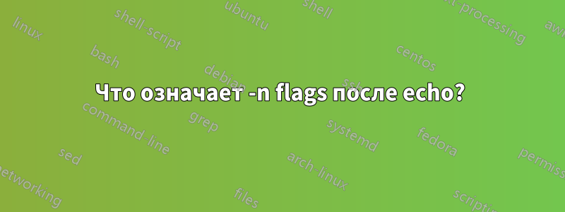 Что означает -n flags после echo?