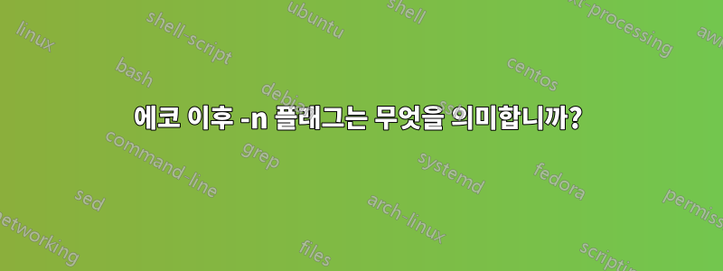 에코 이후 -n 플래그는 무엇을 의미합니까?