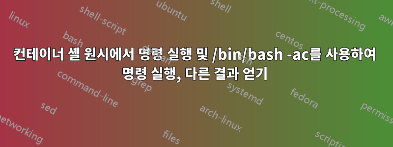 컨테이너 셸 원시에서 명령 실행 및 /bin/bash -ac를 사용하여 명령 실행, 다른 결과 얻기